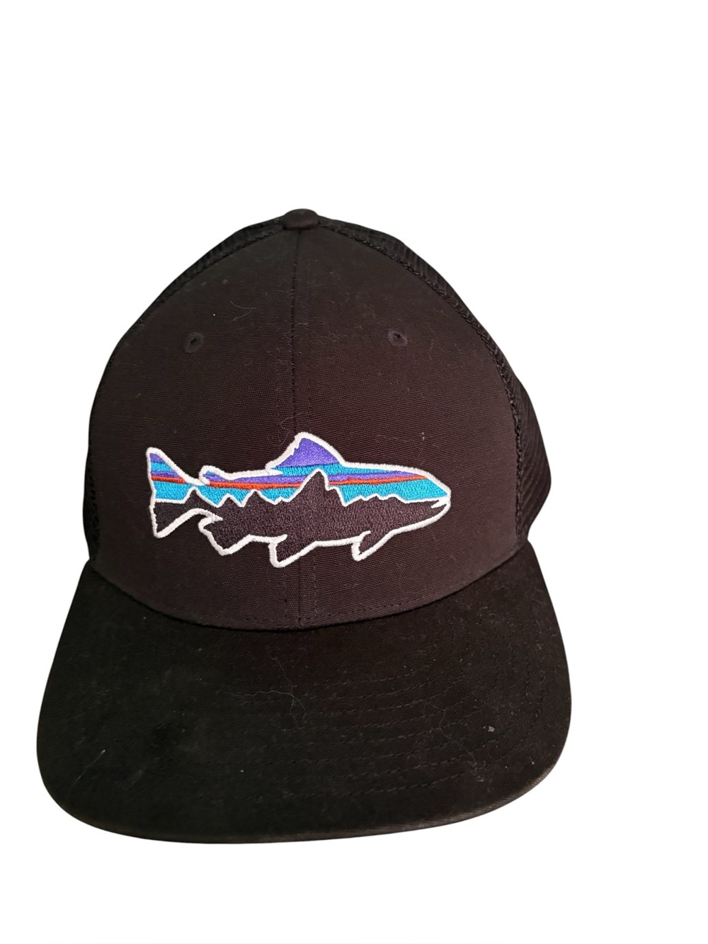 Patagonia Fitz Roy Trout Trucker Hat Black Trucker Hat